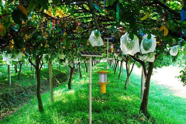 客戶(hù)眼中太陽(yáng)能殺蟲(chóng)燈的特點(diǎn)