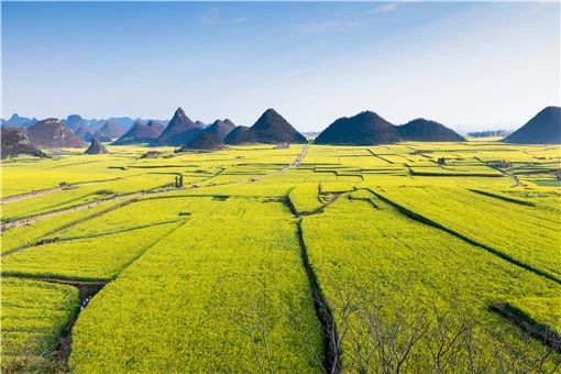 土地流轉(zhuǎn)補(bǔ)償相關(guān)政策2021-攝圖網(wǎng)