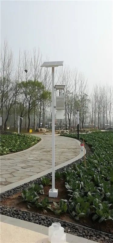 風(fēng)吸式太陽能殺蟲燈